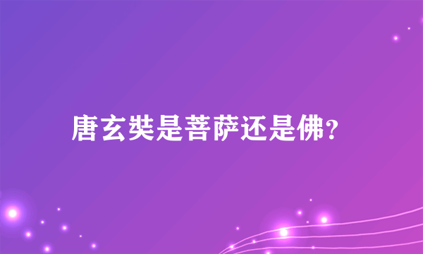 唐玄奘是菩萨还是佛？
