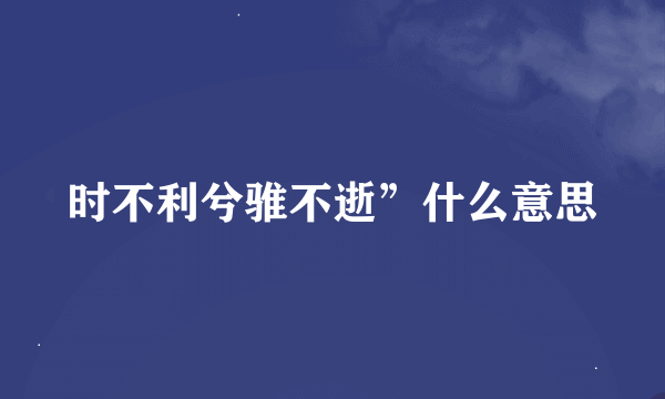 时不利兮骓不逝”什么意思
