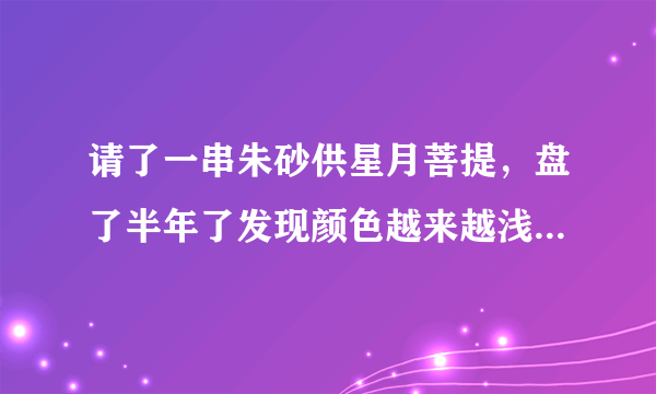 请了一串朱砂供星月菩提，盘了半年了发现颜色越来越浅，喇叭口位置买