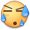 罗马2无法打开