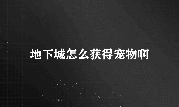 地下城怎么获得宠物啊