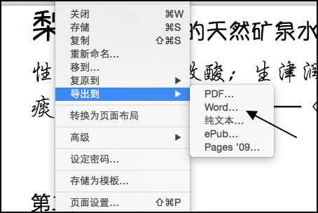 如何在iphone上将pages转化成word