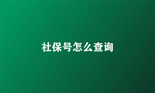 社保号怎么查询