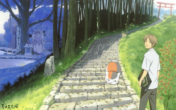求夏目的高清壁纸 夏目友人帐≥﹏≤