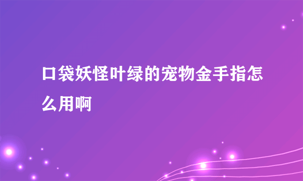 口袋妖怪叶绿的宠物金手指怎么用啊