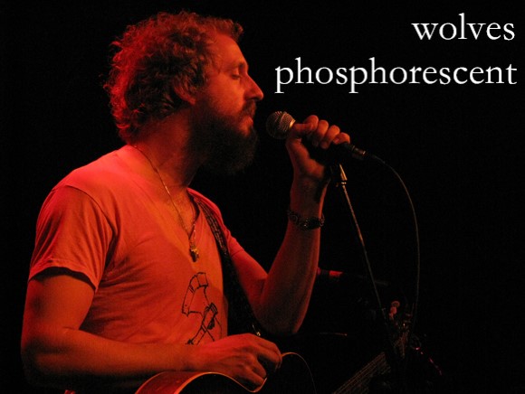 phosphorescent乐队的《wolves》中英歌词