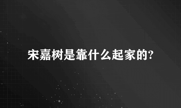 宋嘉树是靠什么起家的?
