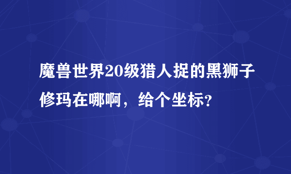 魔兽世界20级猎人捉的黑狮子修玛在哪啊，给个坐标？