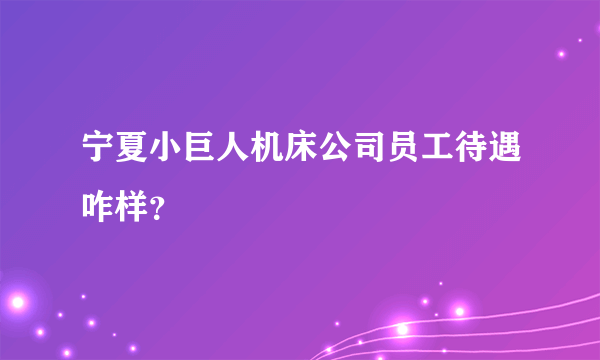 宁夏小巨人机床公司员工待遇咋样？