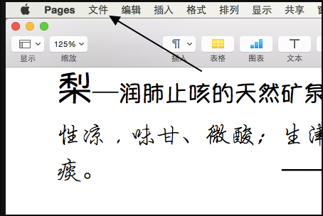 如何在iphone上将pages转化成word