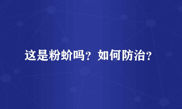 这是粉蚧吗？如何防治？