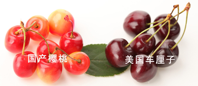 樱桃跟车厘子的区别