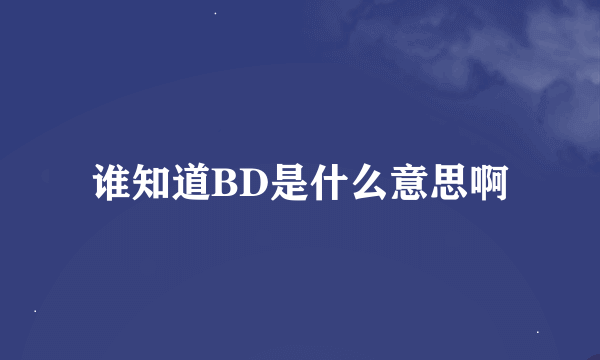 谁知道BD是什么意思啊