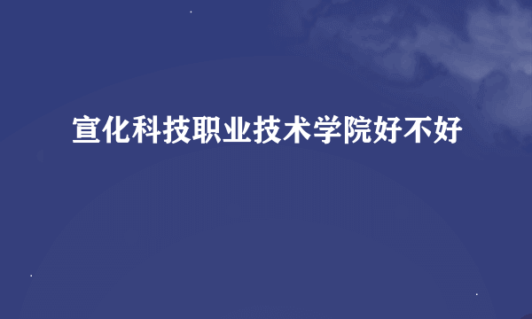 宣化科技职业技术学院好不好