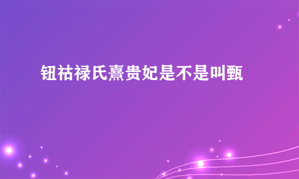 钮祜禄氏熹贵妃是不是叫甄嬛