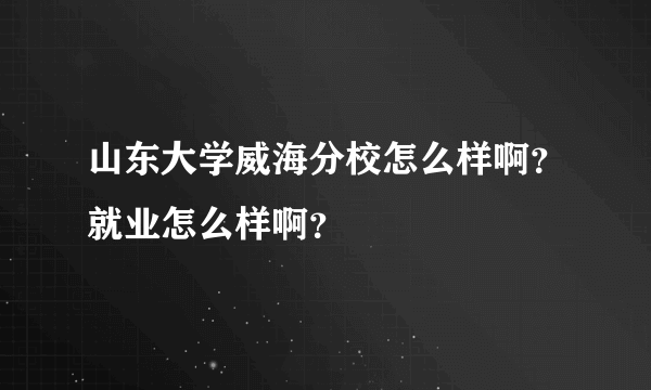 山东大学威海分校怎么样啊？就业怎么样啊？