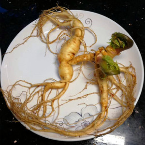 野山参怎么吃呀，食用方法有那些？