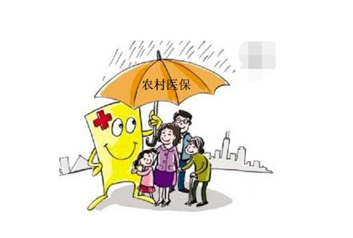 农保报销比例是多少？