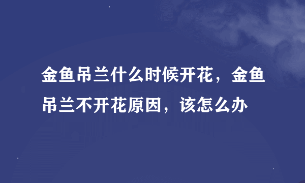 金鱼吊兰什么时候开花，金鱼吊兰不开花原因，该怎么办