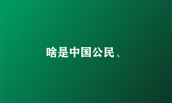 啥是中国公民、