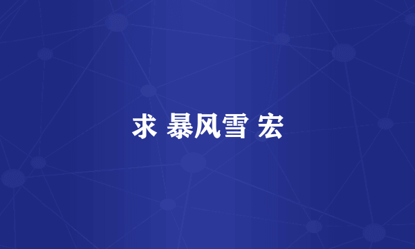 求 暴风雪 宏