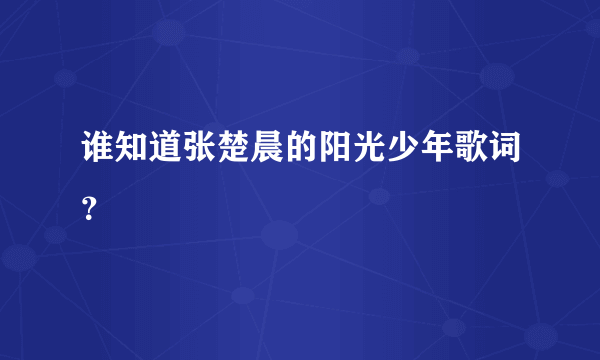 谁知道张楚晨的阳光少年歌词？