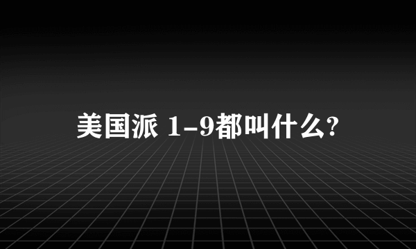 美国派 1-9都叫什么?