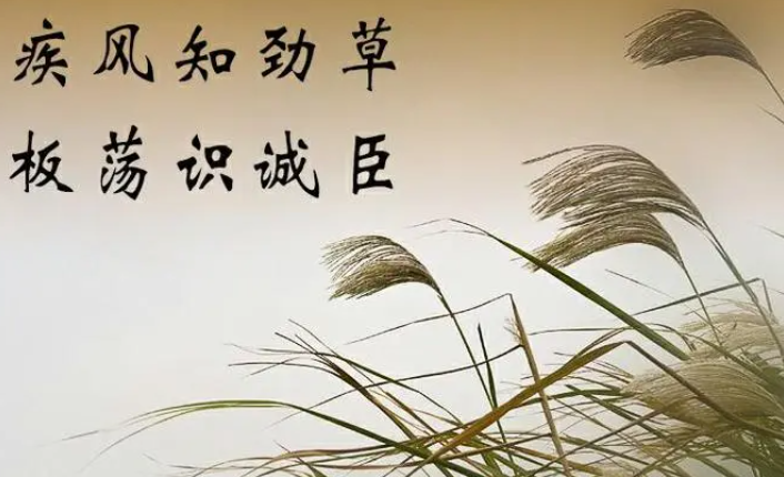 疾风知劲草全诗赏析是什么？