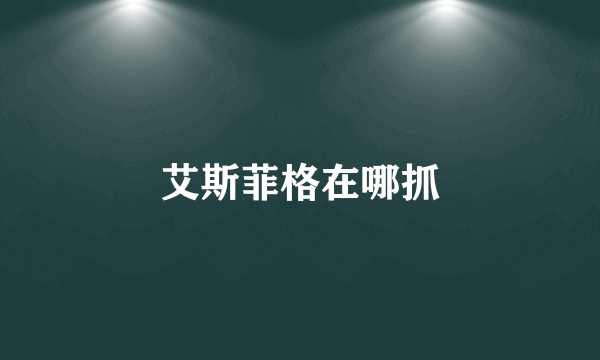 艾斯菲格在哪抓