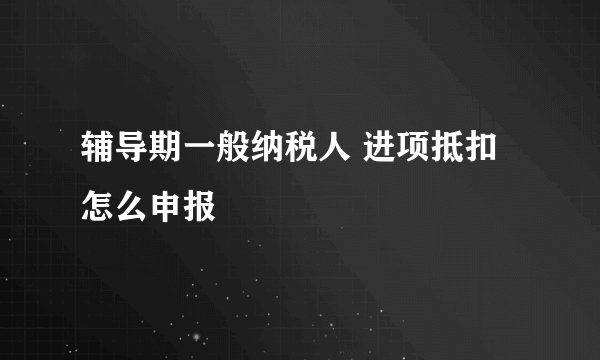 辅导期一般纳税人 进项抵扣怎么申报