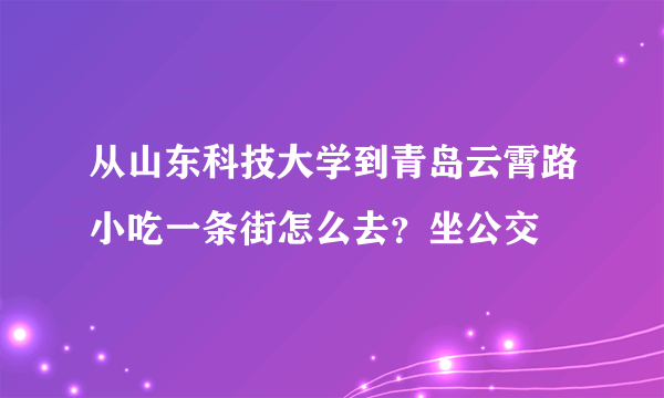 从山东科技大学到青岛云霄路小吃一条街怎么去？坐公交