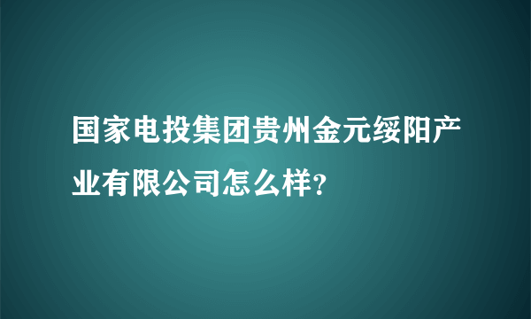 国家电投集团贵州金元绥阳产业有限公司怎么样？