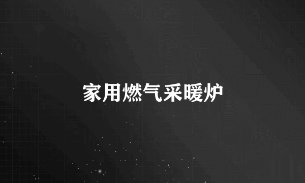 家用燃气采暖炉