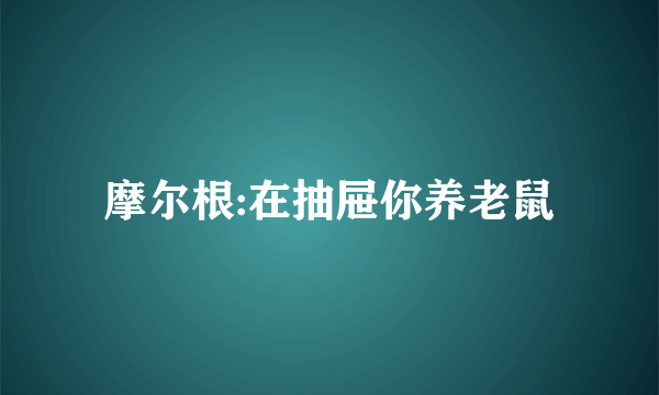 摩尔根:在抽屉你养老鼠