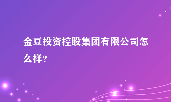 金豆投资控股集团有限公司怎么样？