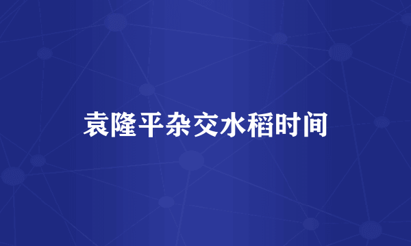 袁隆平杂交水稻时间