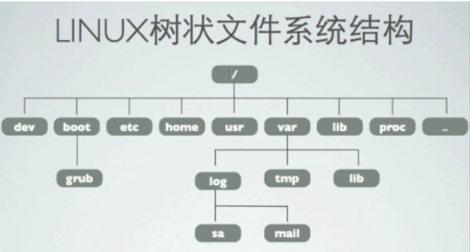 C语言线性结构和非线性结构怎么区分啊？