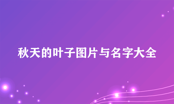秋天的叶子图片与名字大全