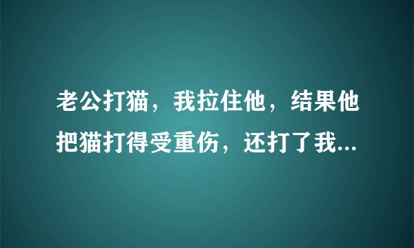 老公打猫，我拉住他，结果他把猫打得受重伤，还打了我，还让我发贴问问这事谁错