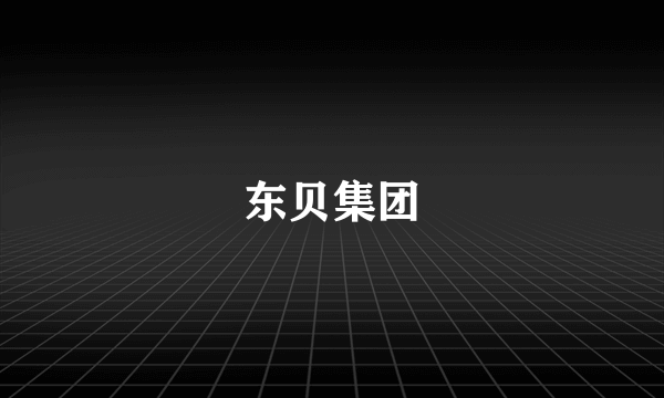 东贝集团