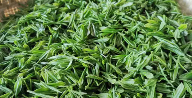各种茶叶图片及名称有哪些？