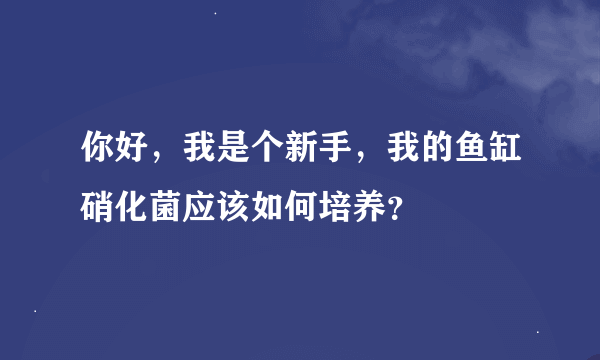 你好，我是个新手，我的鱼缸硝化菌应该如何培养？