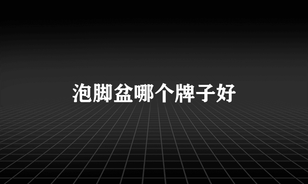 泡脚盆哪个牌子好