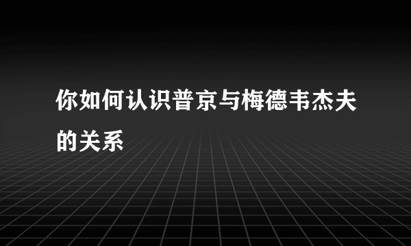 你如何认识普京与梅德韦杰夫的关系