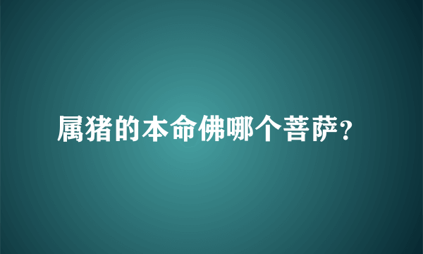 属猪的本命佛哪个菩萨？