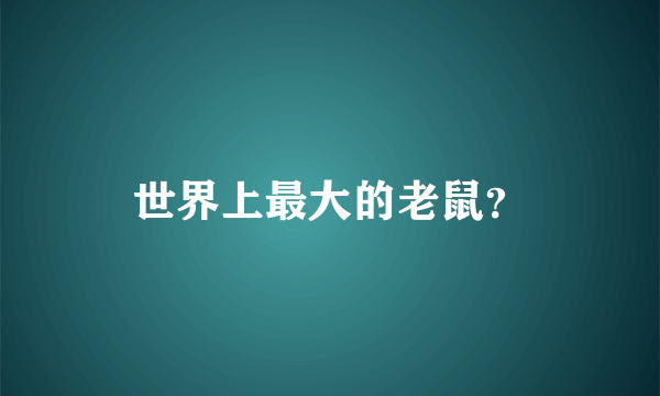 世界上最大的老鼠？