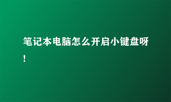 笔记本电脑怎么开启小键盘呀!