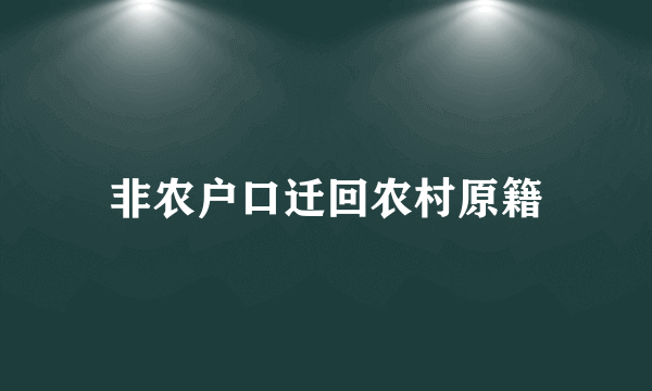 非农户口迁回农村原籍