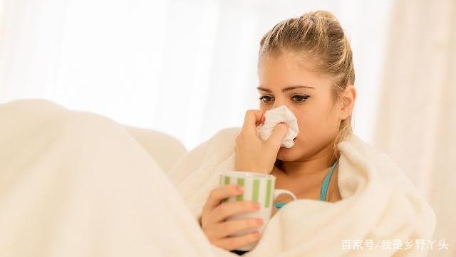 婆婆丁可以泡茶吗？婆婆丁茶有什么功效？