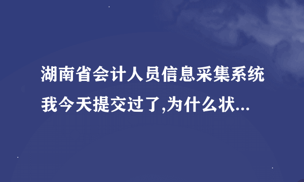 湖南省会计人员信息采集系统我今天提交过了,为什么状态还是未采集？